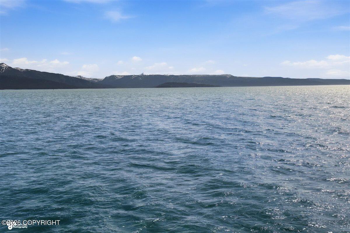 3851 Homer Spit Road Property Photo 19