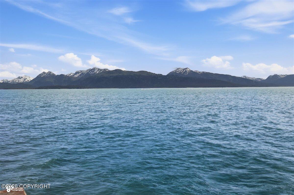 3851 Homer Spit Road Property Photo 90