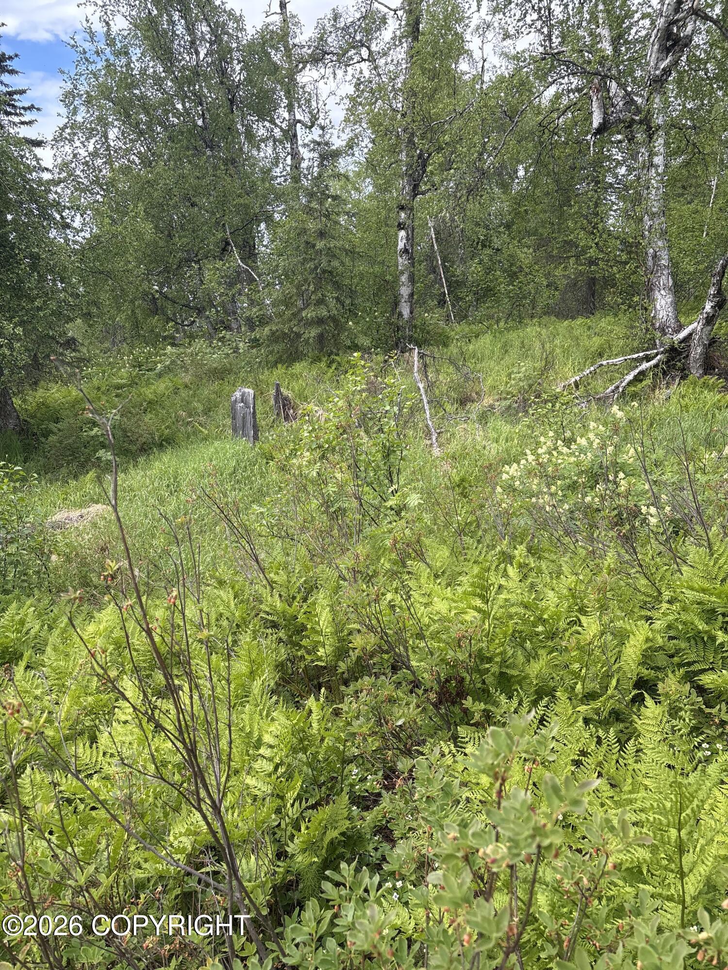 22909 E Rampart Loop Property Photo 2