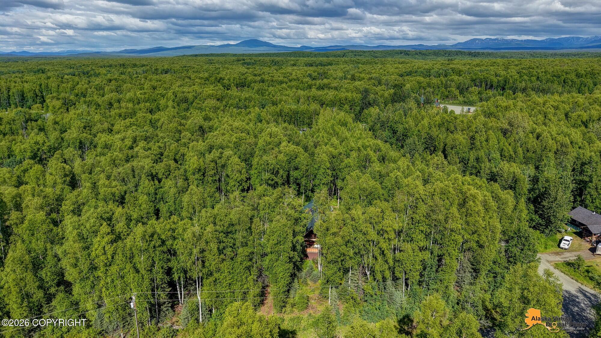 16445 E Sunshine Lake West Drive Property Photo 48