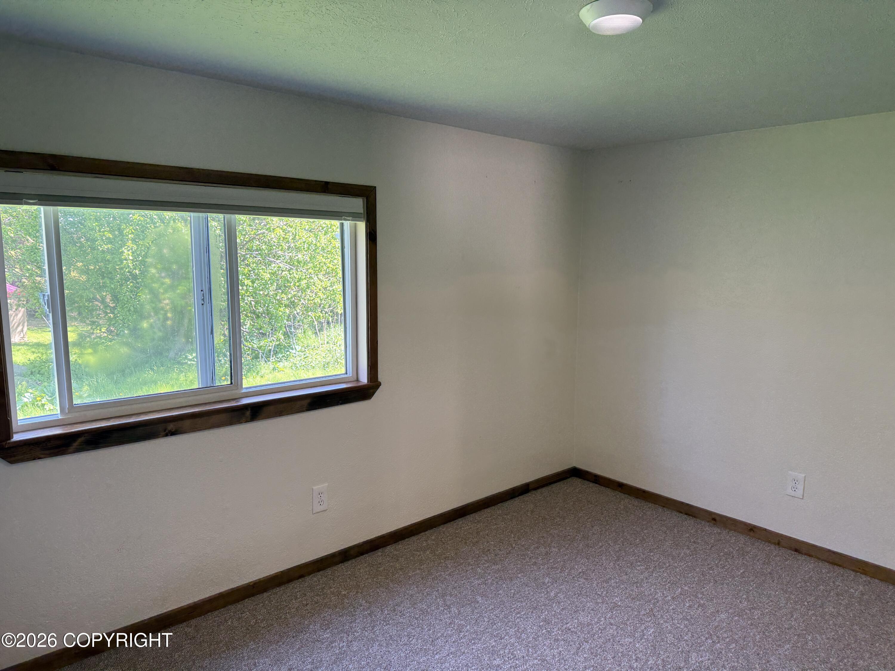 4698 Rochelle Road Property Photo 15