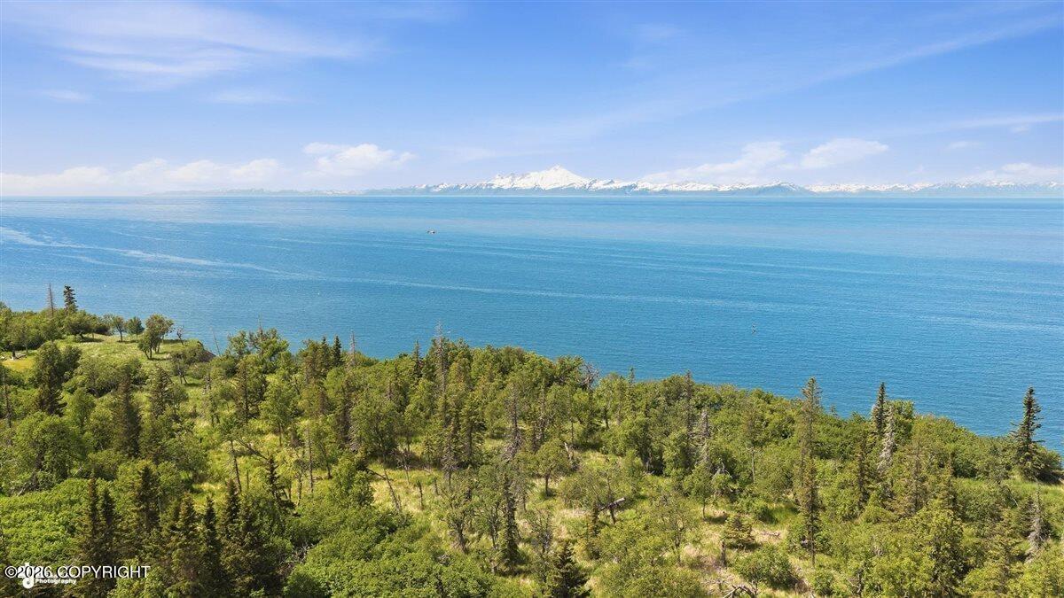 14179 Sterling Highway Property Photo 3