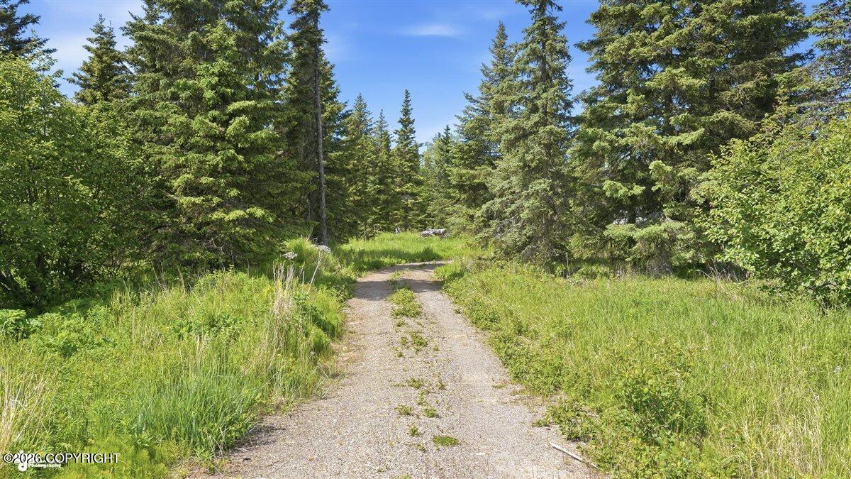 14179 Sterling Highway Property Photo 23