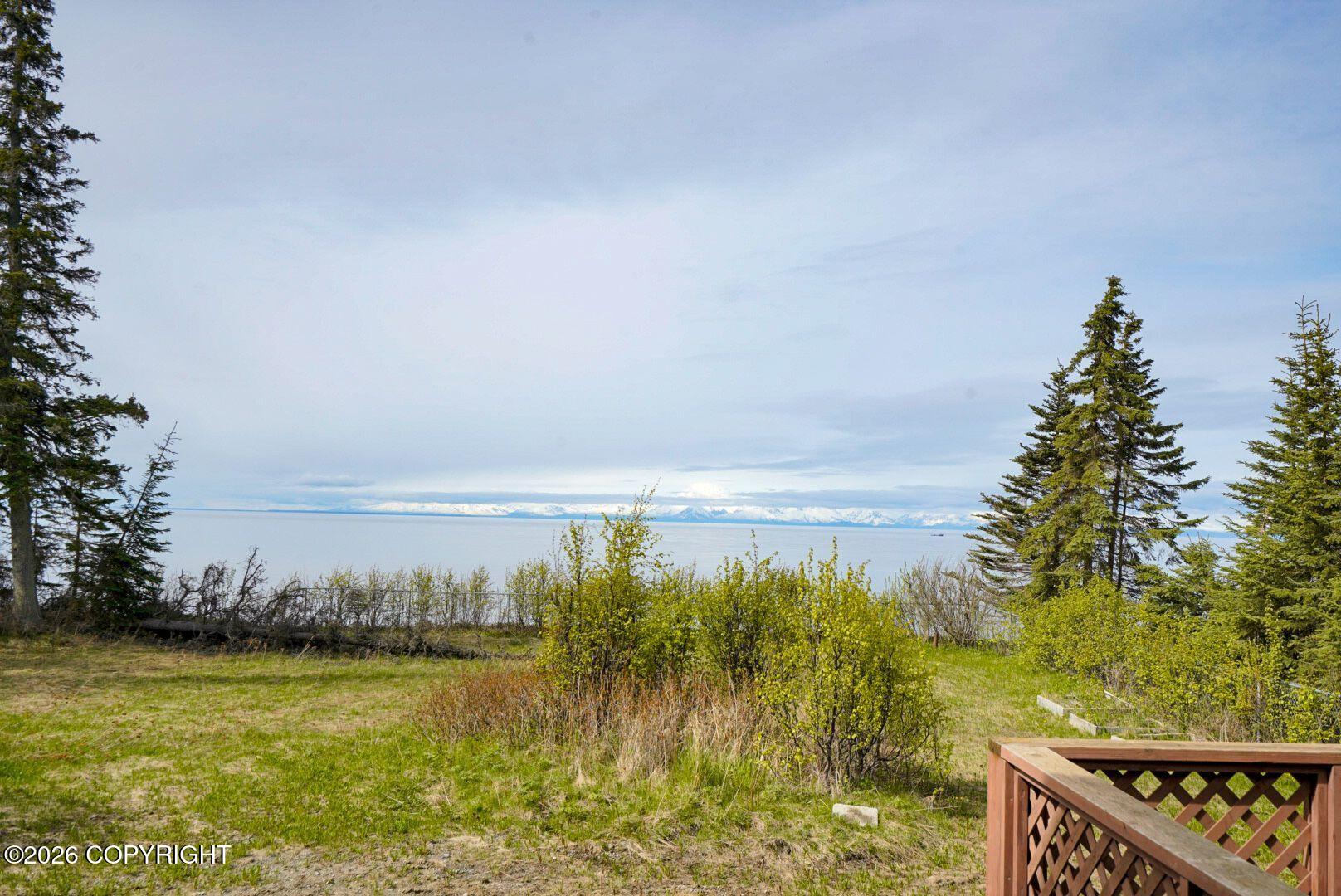 45375 Kenai Spur Highway Property Photo 14