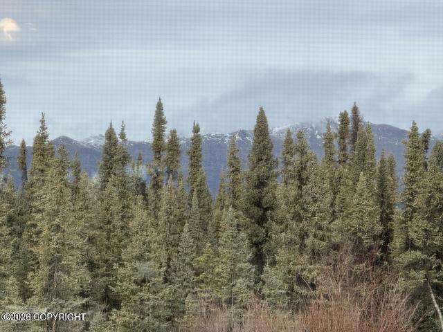 000 Four Mile Road Property Photo 35