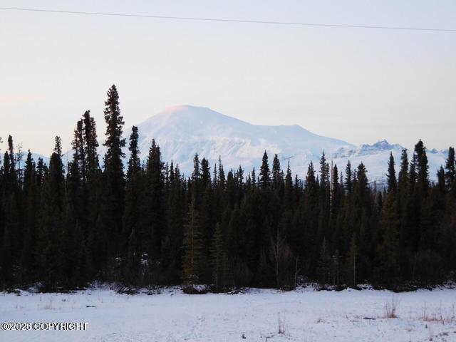 000 Four Mile Road Property Photo 39