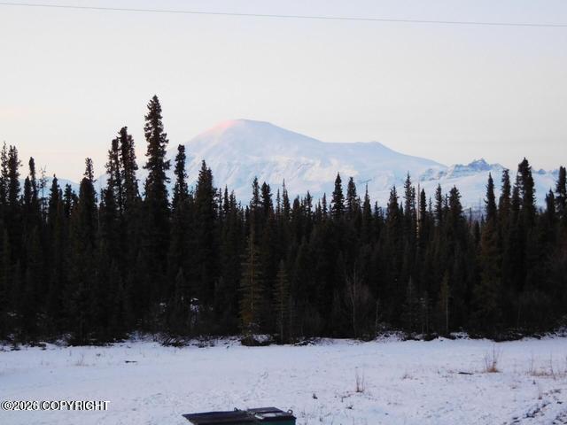 000 Four Mile Road Property Photo 40