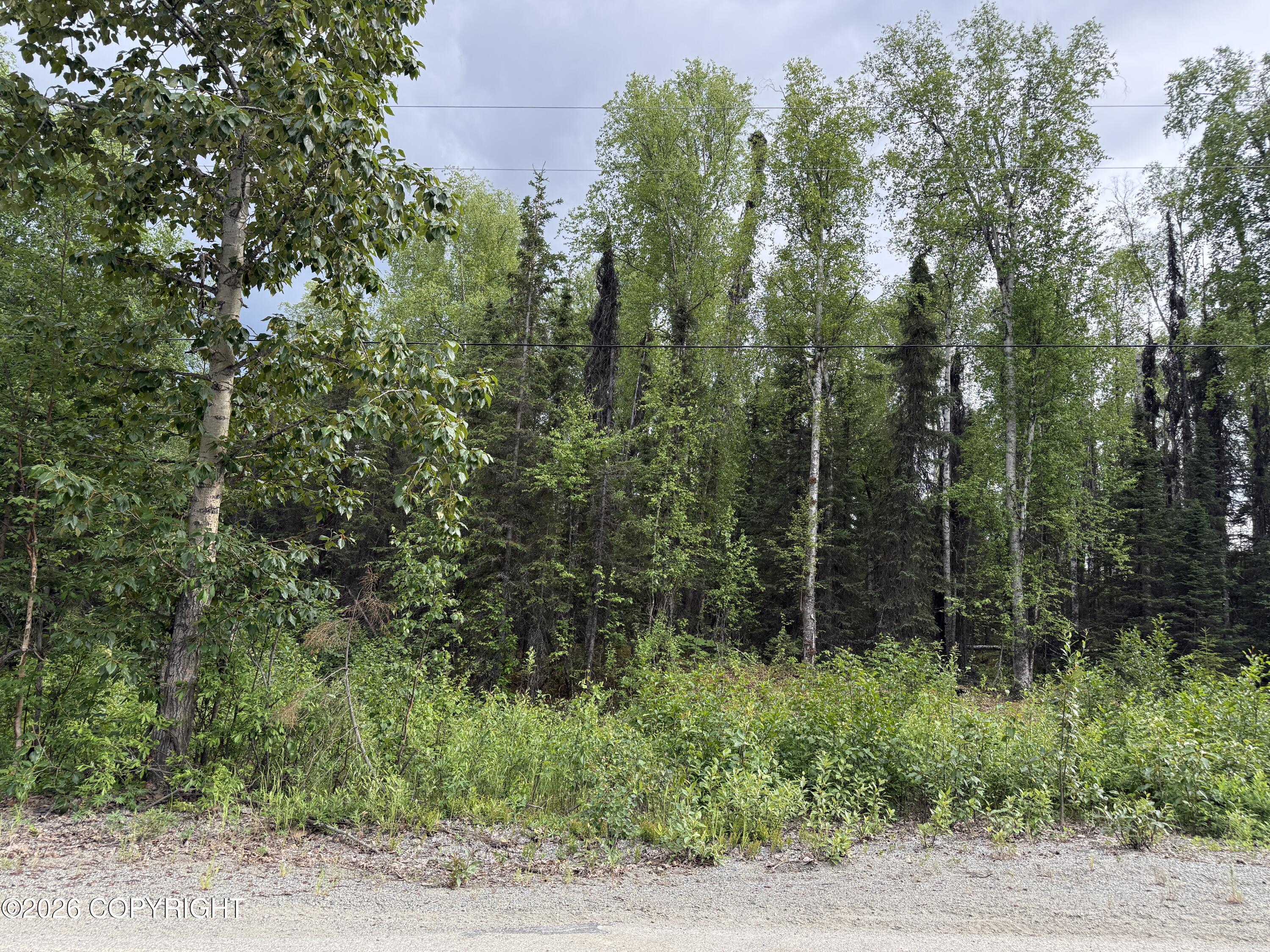 22408 W Susitna Parkway Property Photo 1