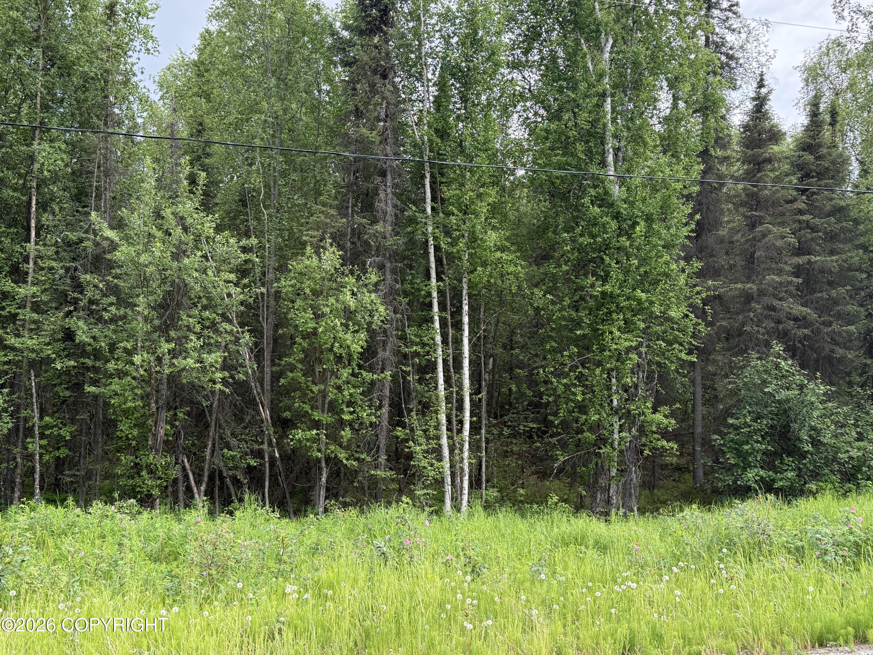 22408 W Susitna Parkway Property Photo 2