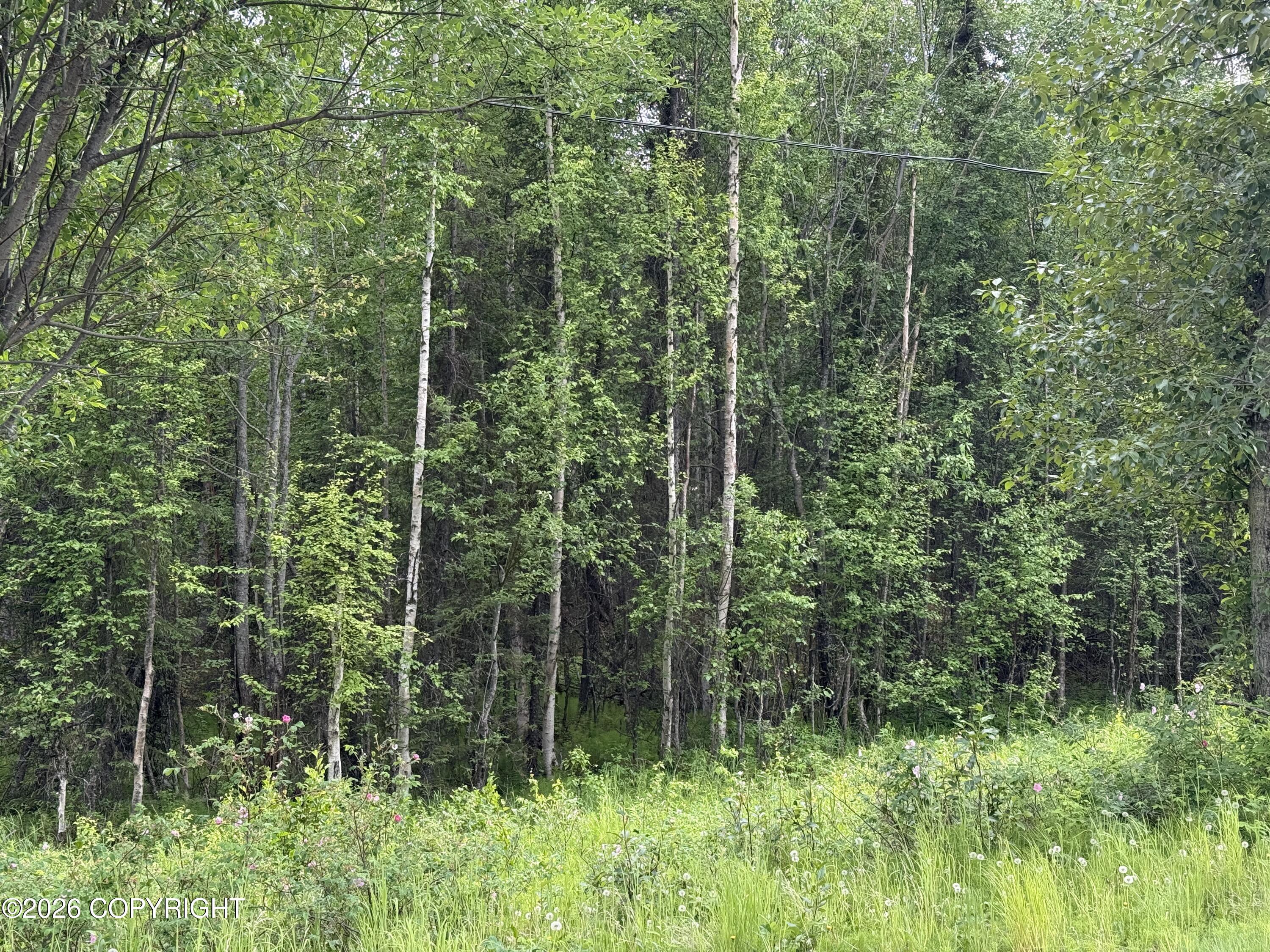 22408 W Susitna Parkway Property Photo 3