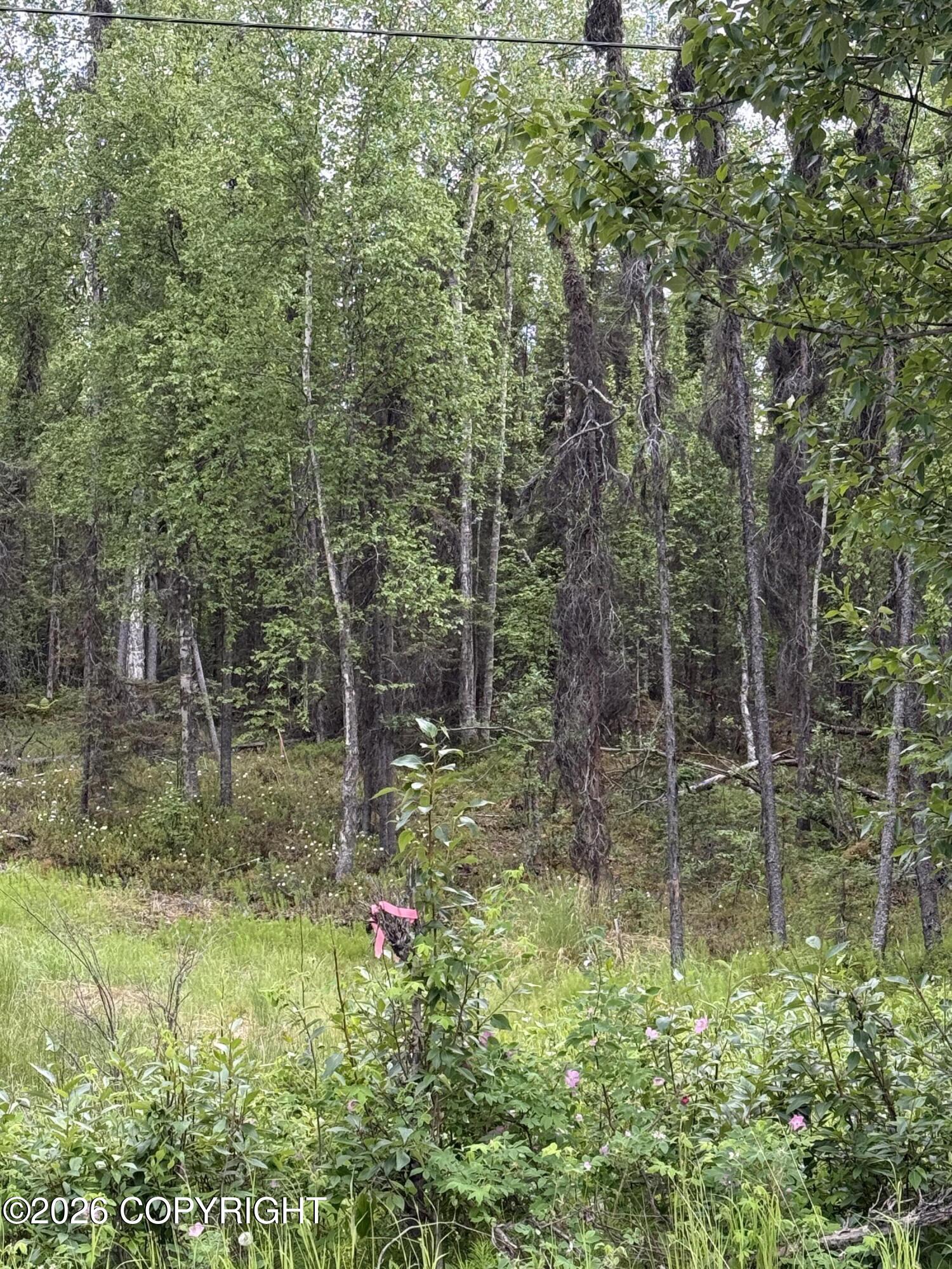 22408 W Susitna Parkway Property Photo 4