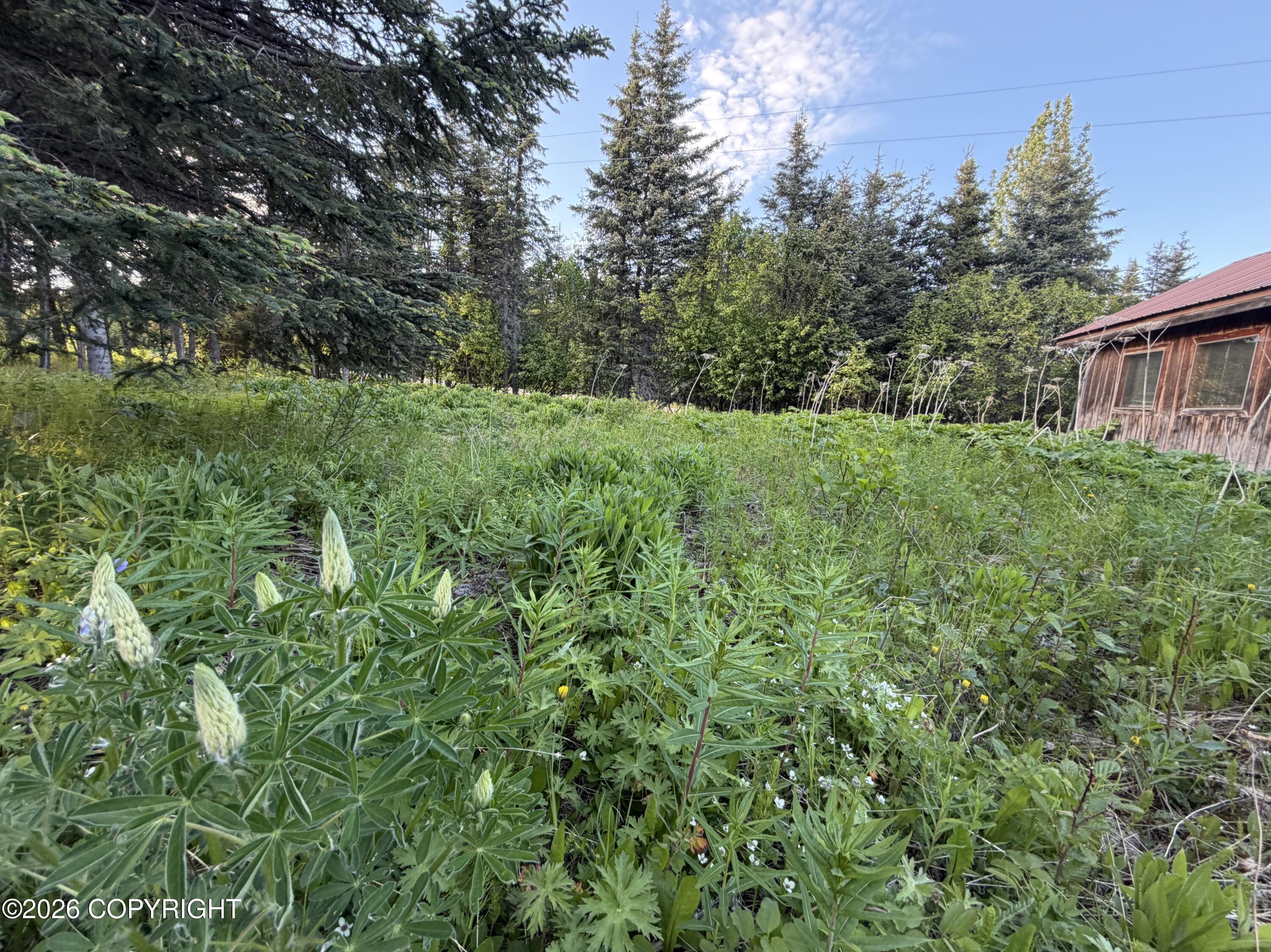 68355 Sunshine Drive Property Photo 6