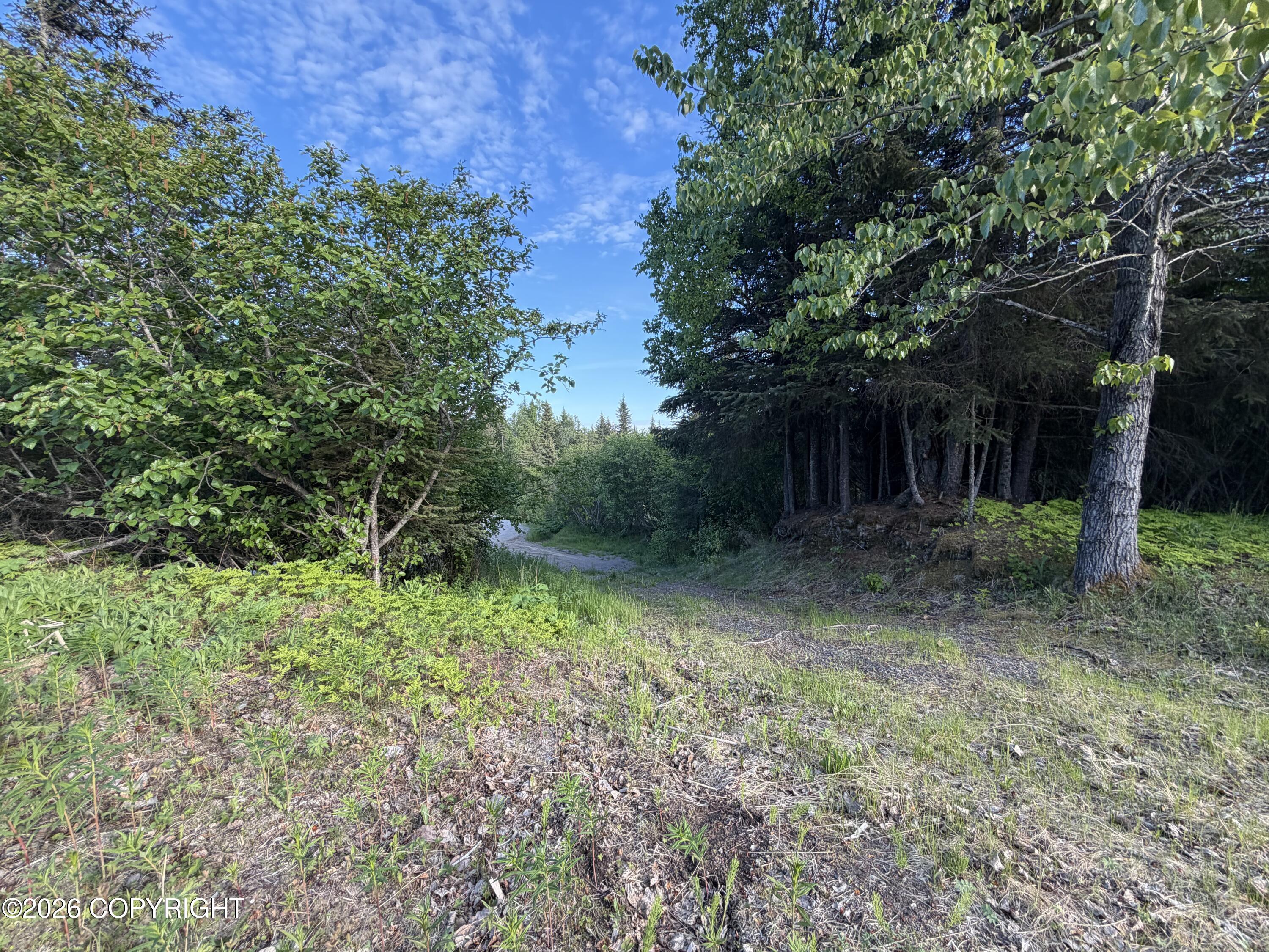 68355 Sunshine Drive Property Photo 8