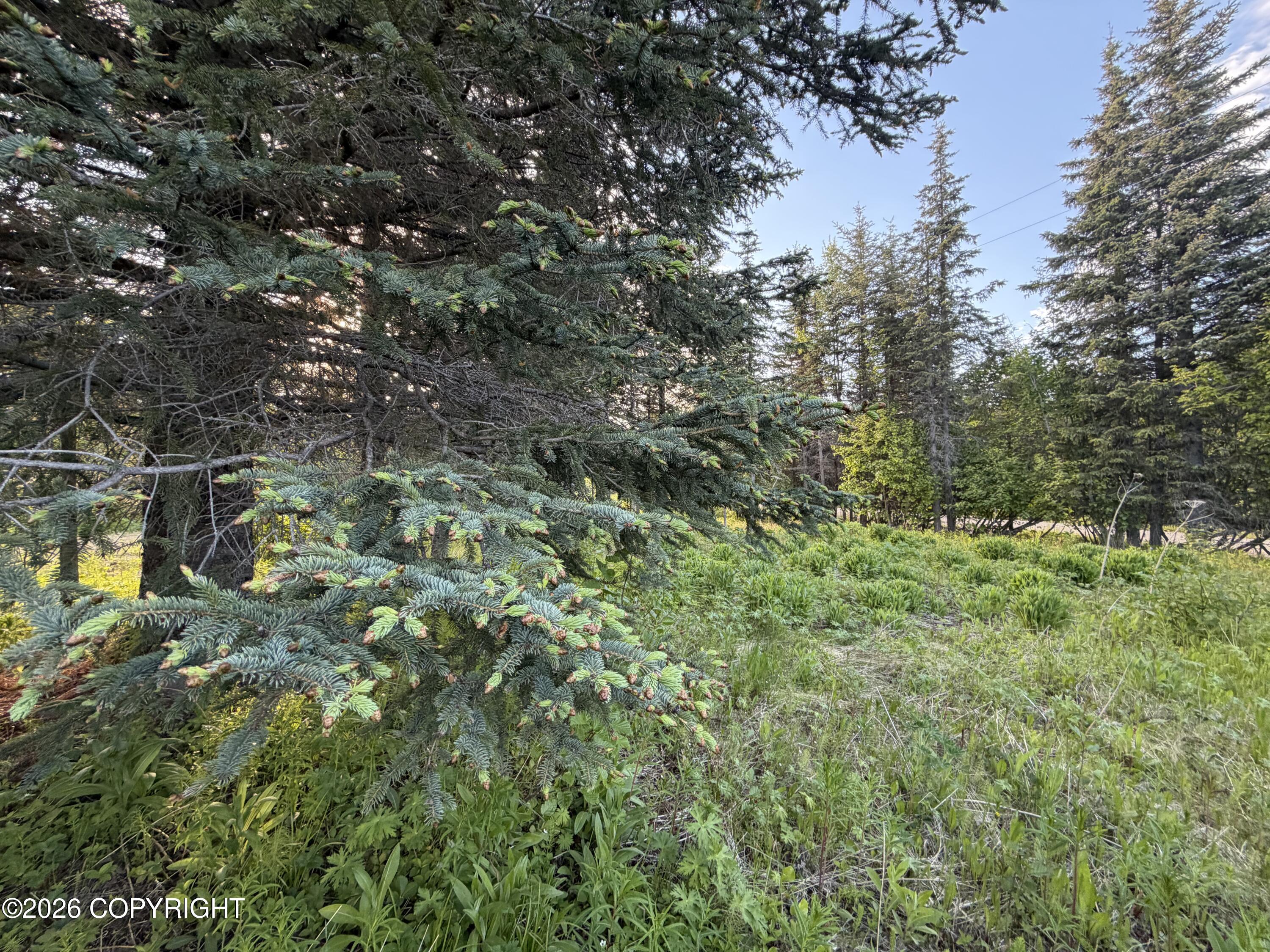 68355 Sunshine Drive Property Photo 11