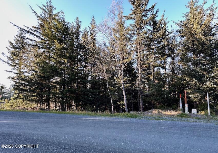 Lot8 Blkb Skyline Drive Property Photo 1