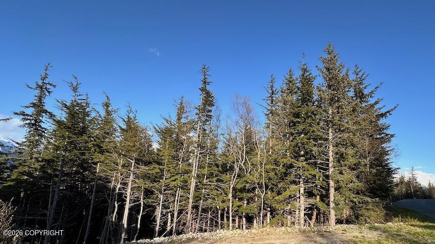 Lot8 Blkb Skyline Drive Property Photo 3
