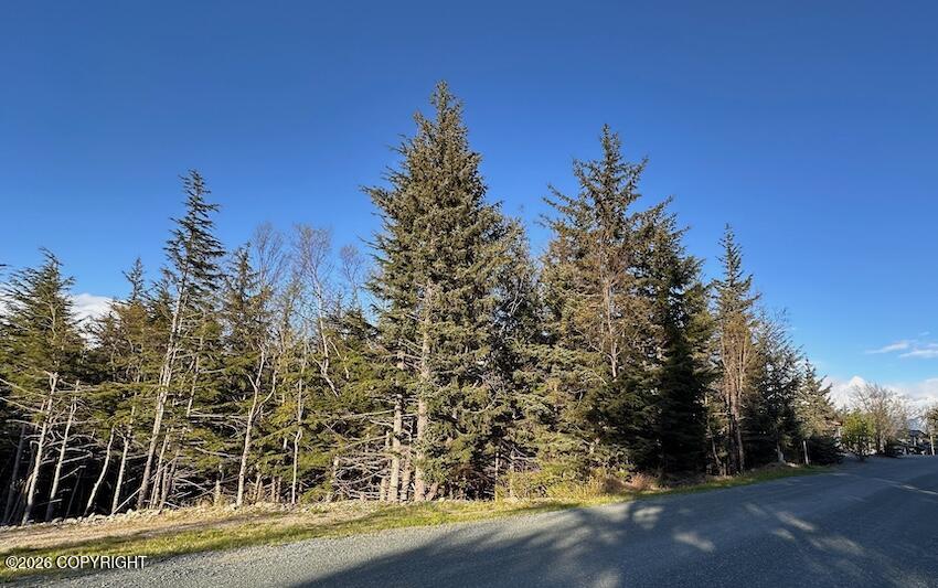 Lot8 Blkb Skyline Drive Property Photo 4