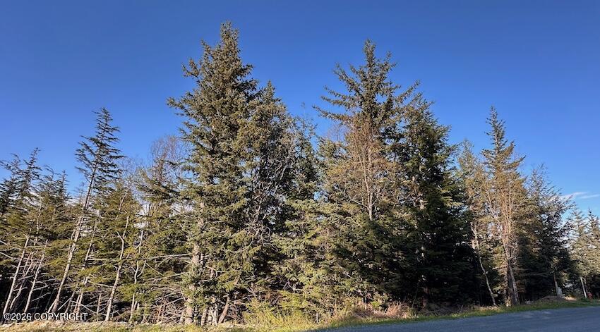 Lot8 Blkb Skyline Drive Property Photo 5