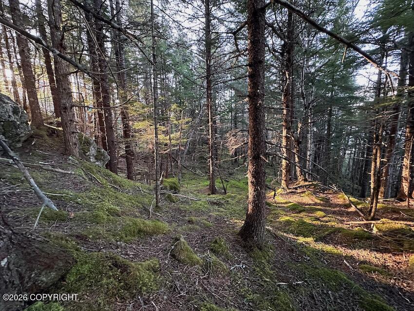 Lot8 Blkb Skyline Drive Property Photo 7