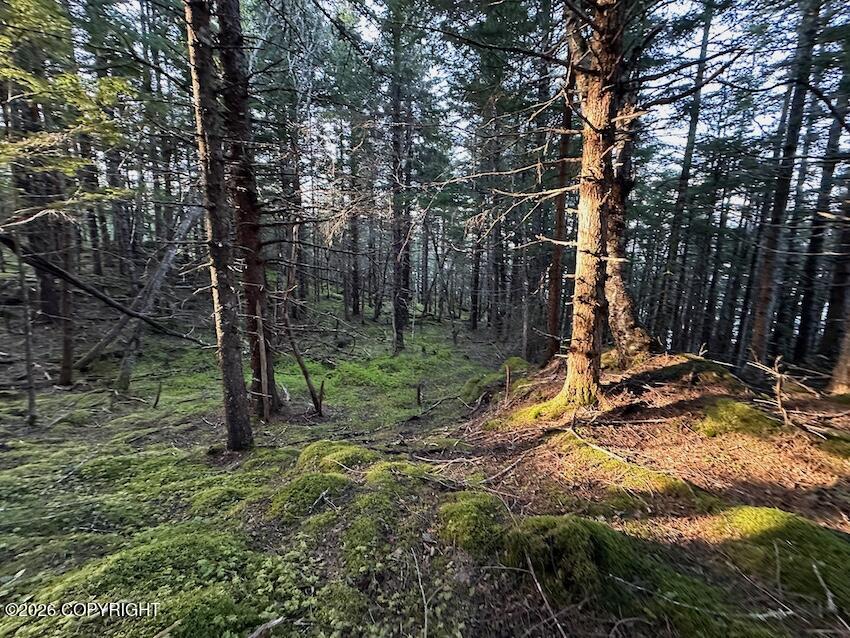 Lot8 Blkb Skyline Drive Property Photo 8