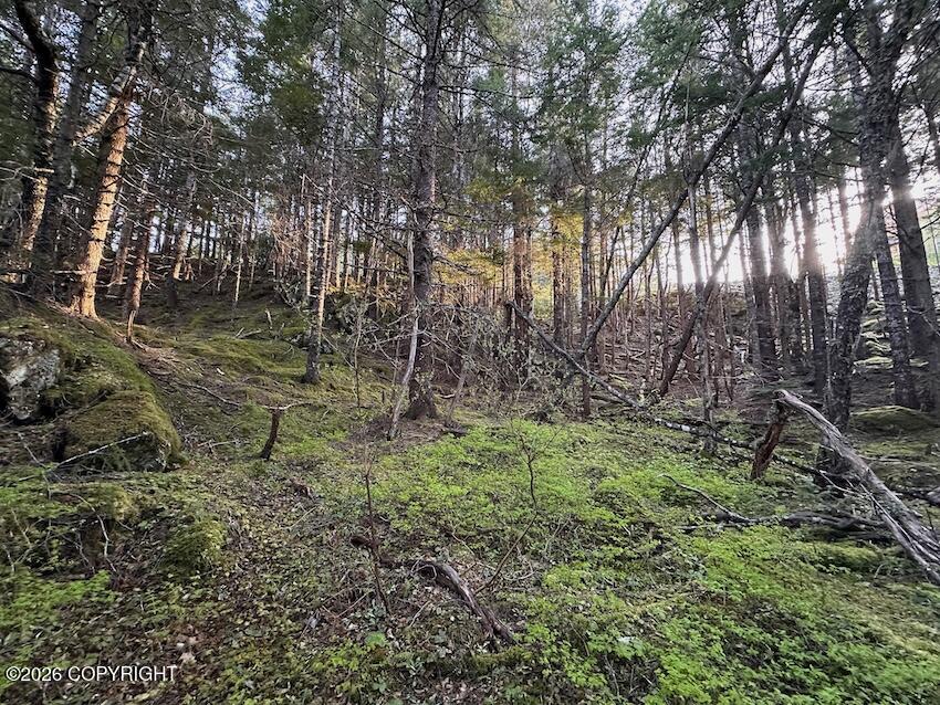 Lot8 Blkb Skyline Drive Property Photo 9