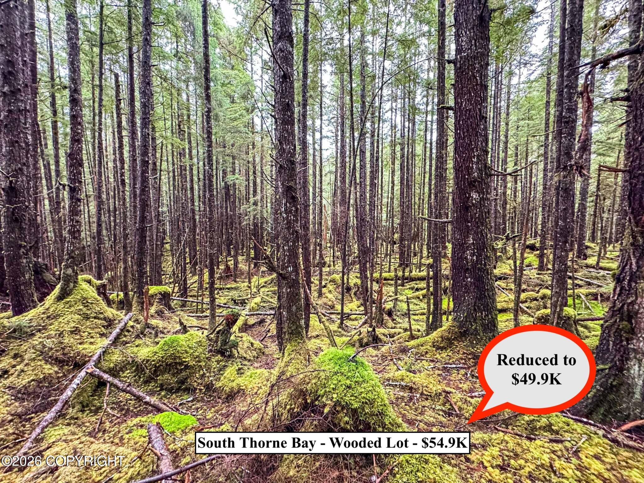 Lot10b18 Steep Road Property Photo 3