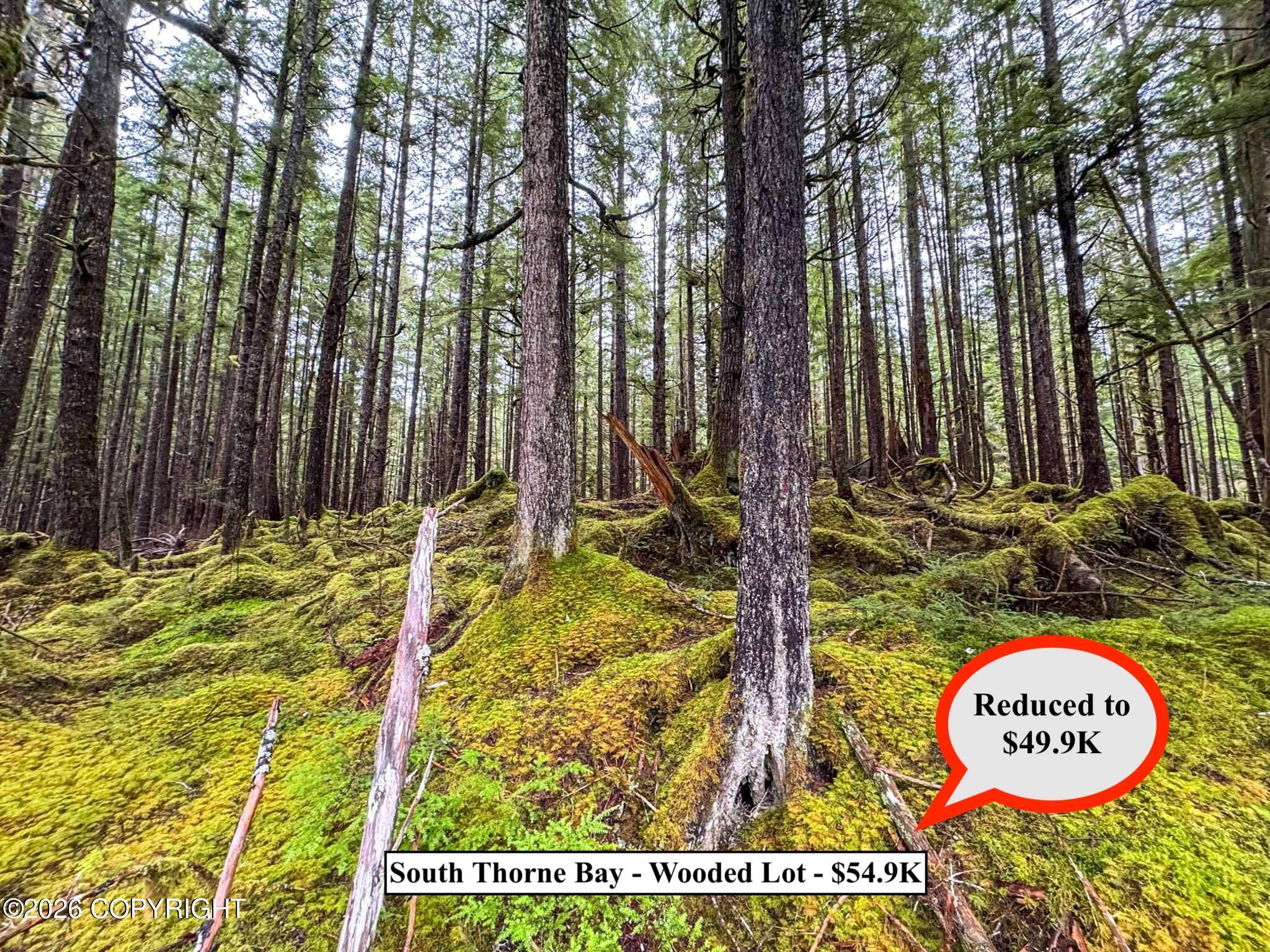 Lot10b18 Steep Road Property Photo 4