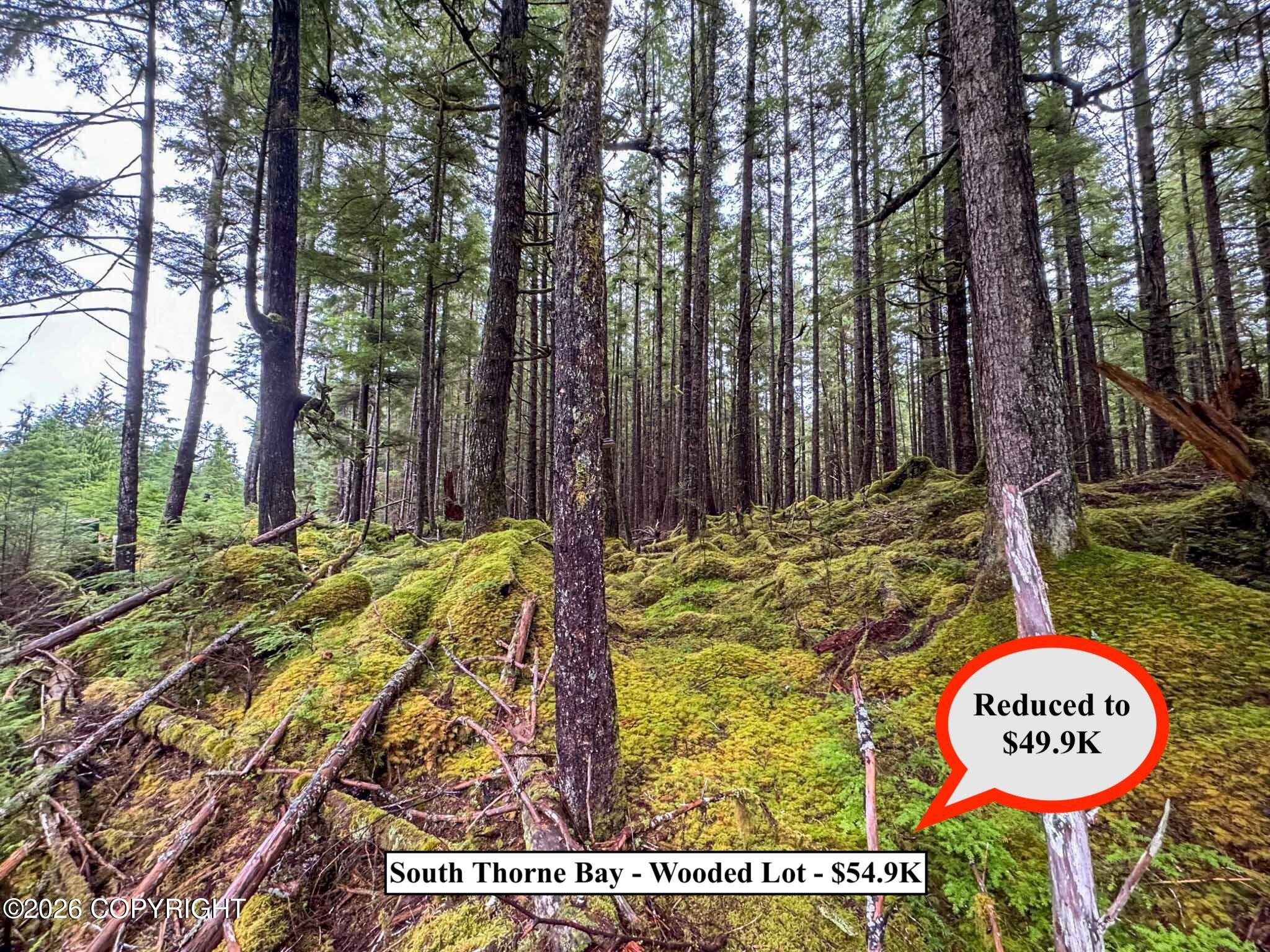 Lot10b18 Steep Road Property Photo 5