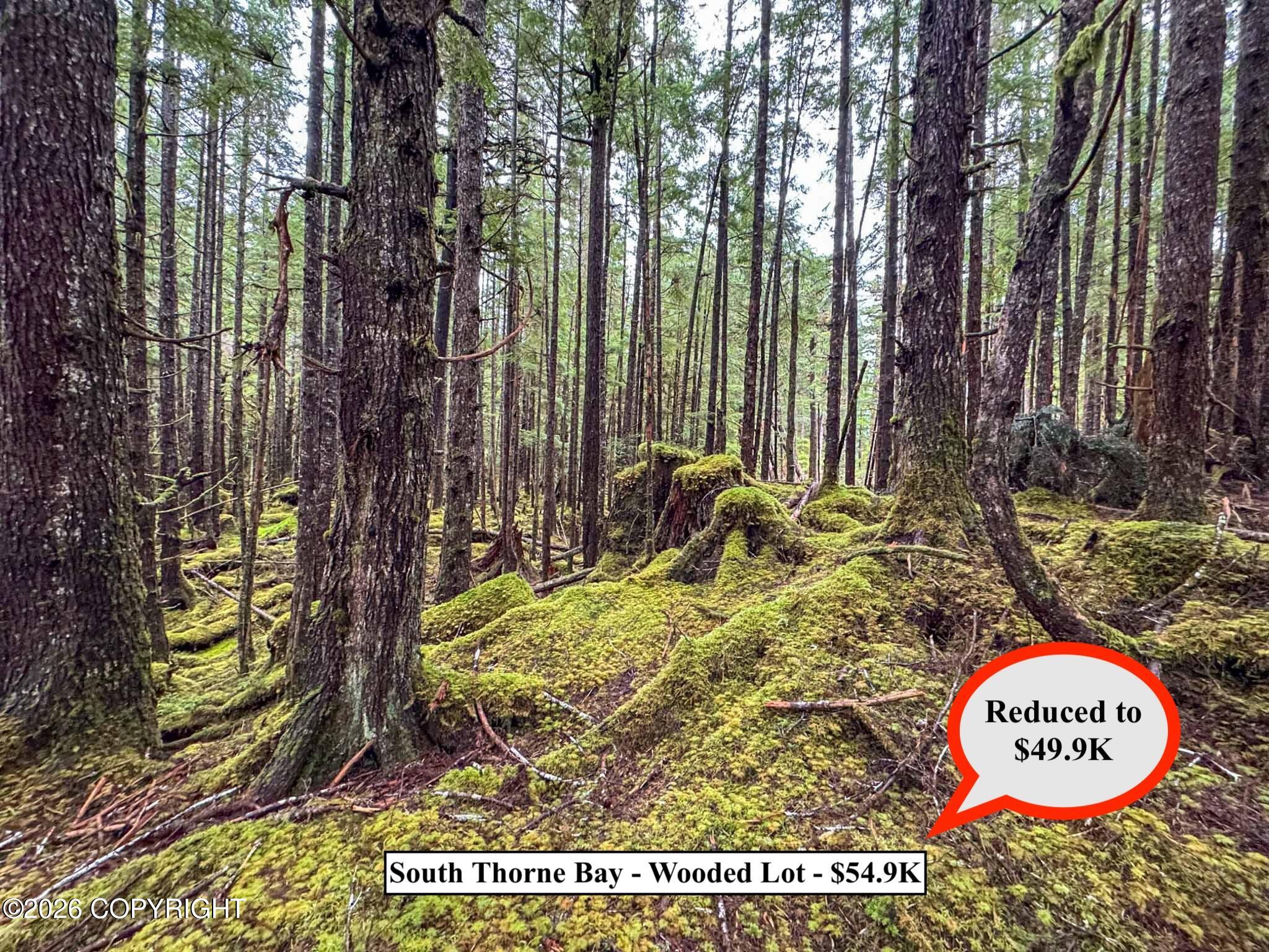 Lot10b18 Steep Road Property Photo 6