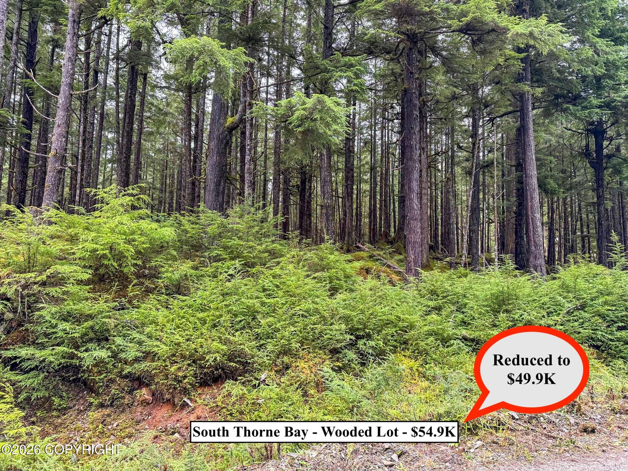 Lot10b18 Steep Road Property Photo 7