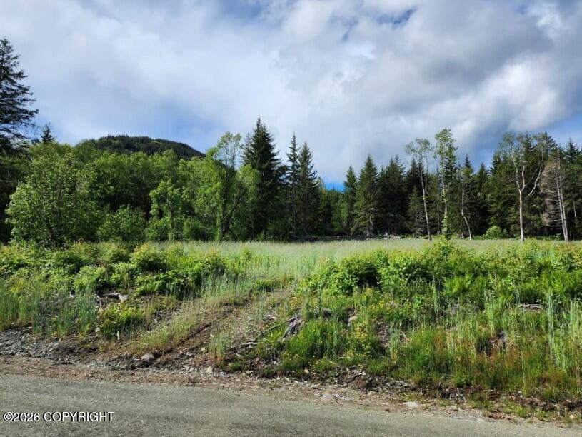 Lot 7 Ocean View Drive Property Photo 6