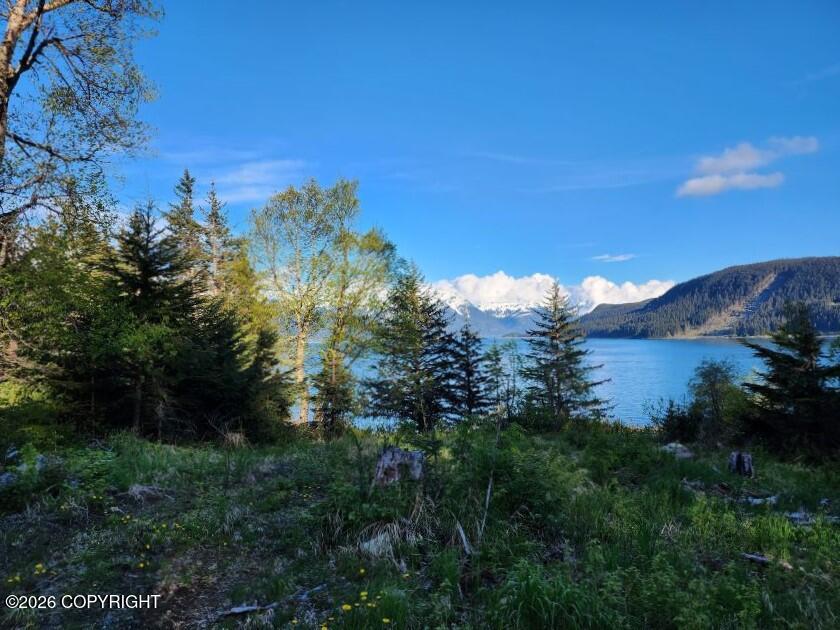 Lot 7 Ocean View Drive Property Photo 8