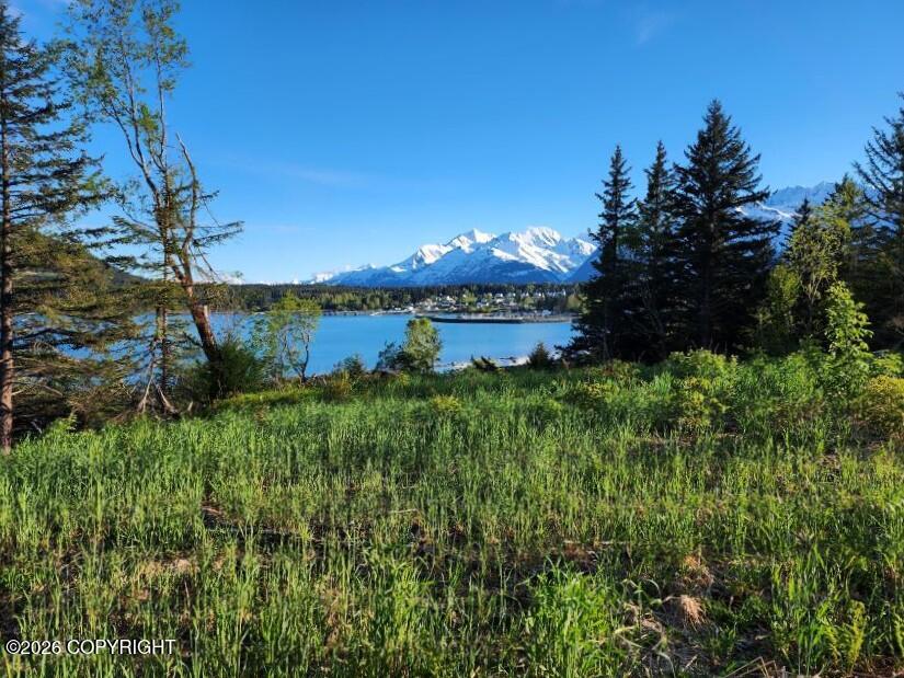 Lot 7 Ocean View Drive Property Photo 10