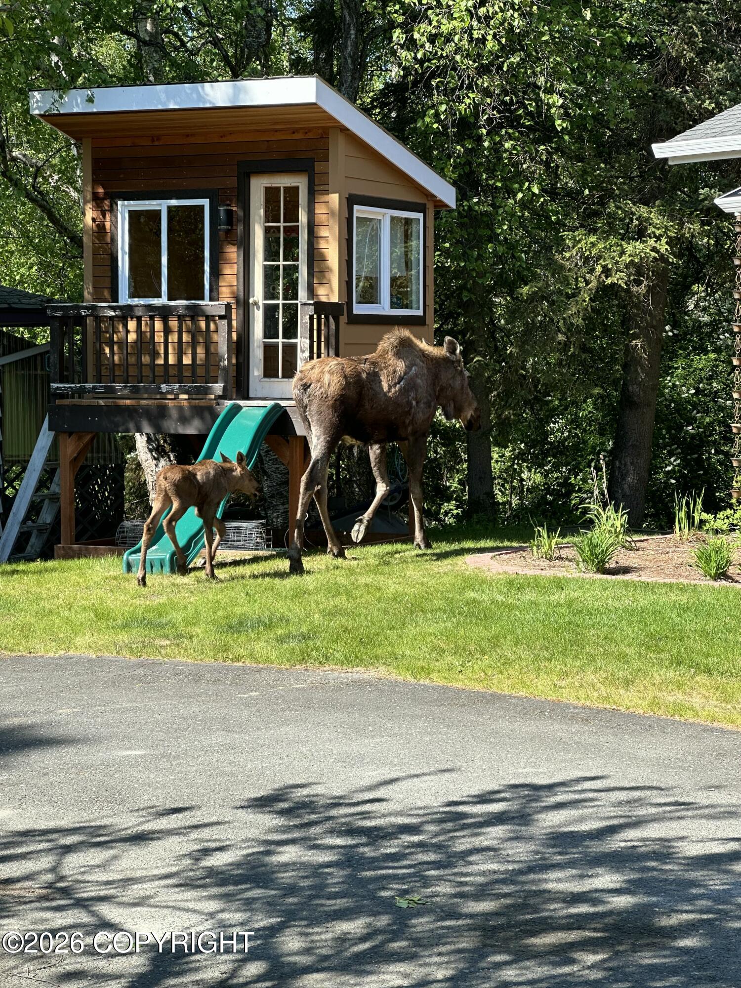 2201 Arctic Circle Property Photo 57