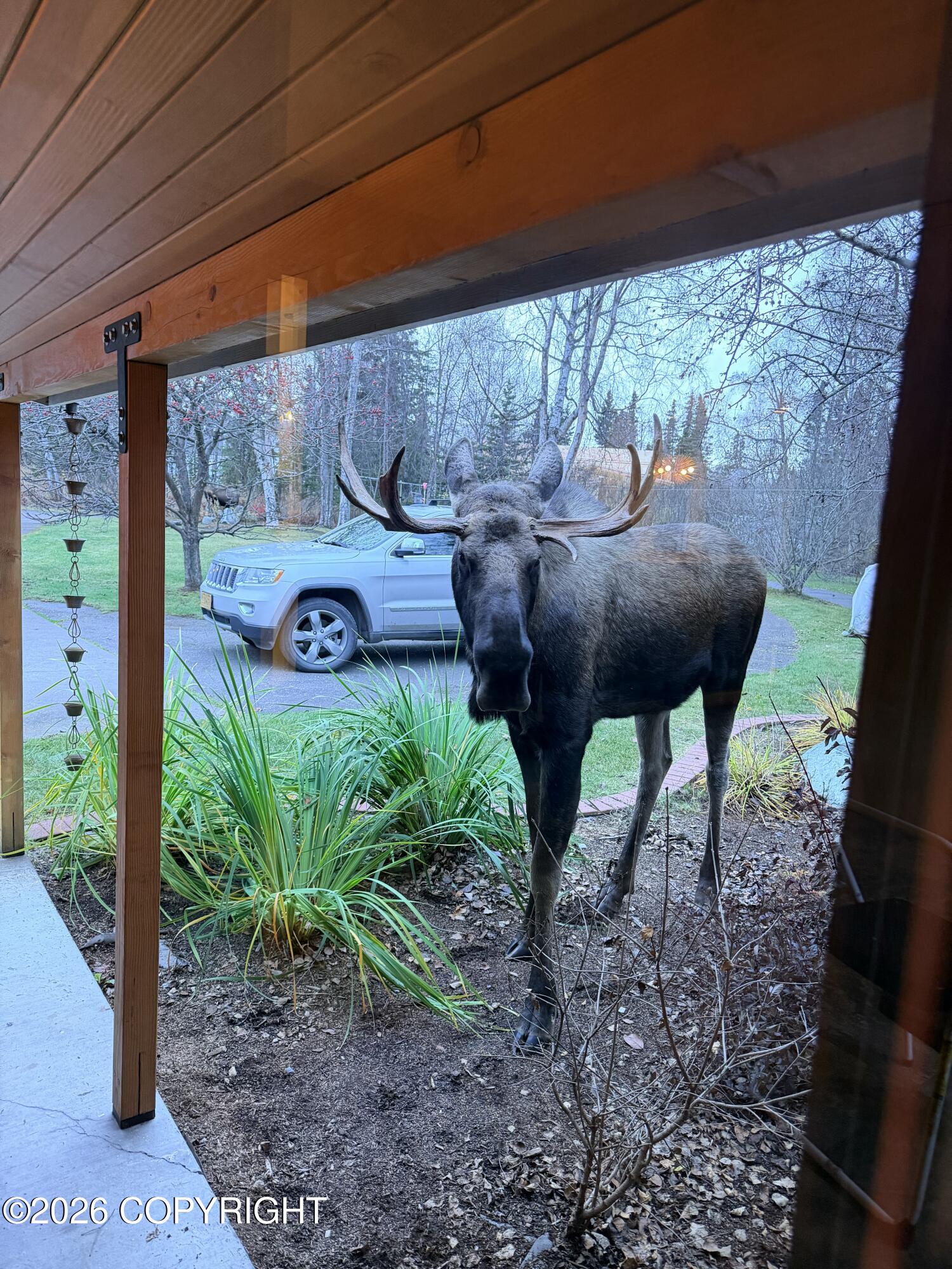 2201 Arctic Circle Property Photo 58