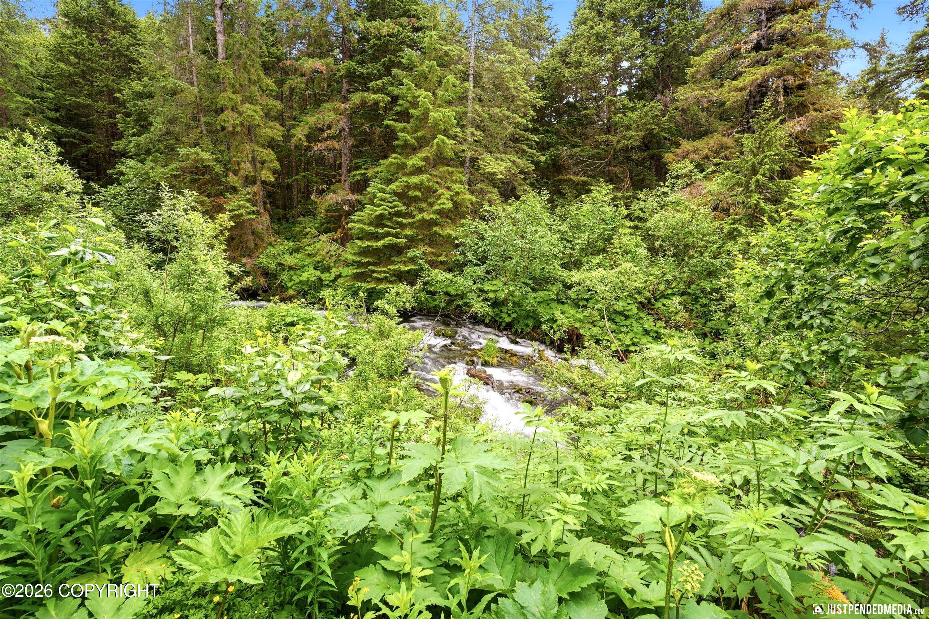165 Virgin Creek Road Property Photo 4