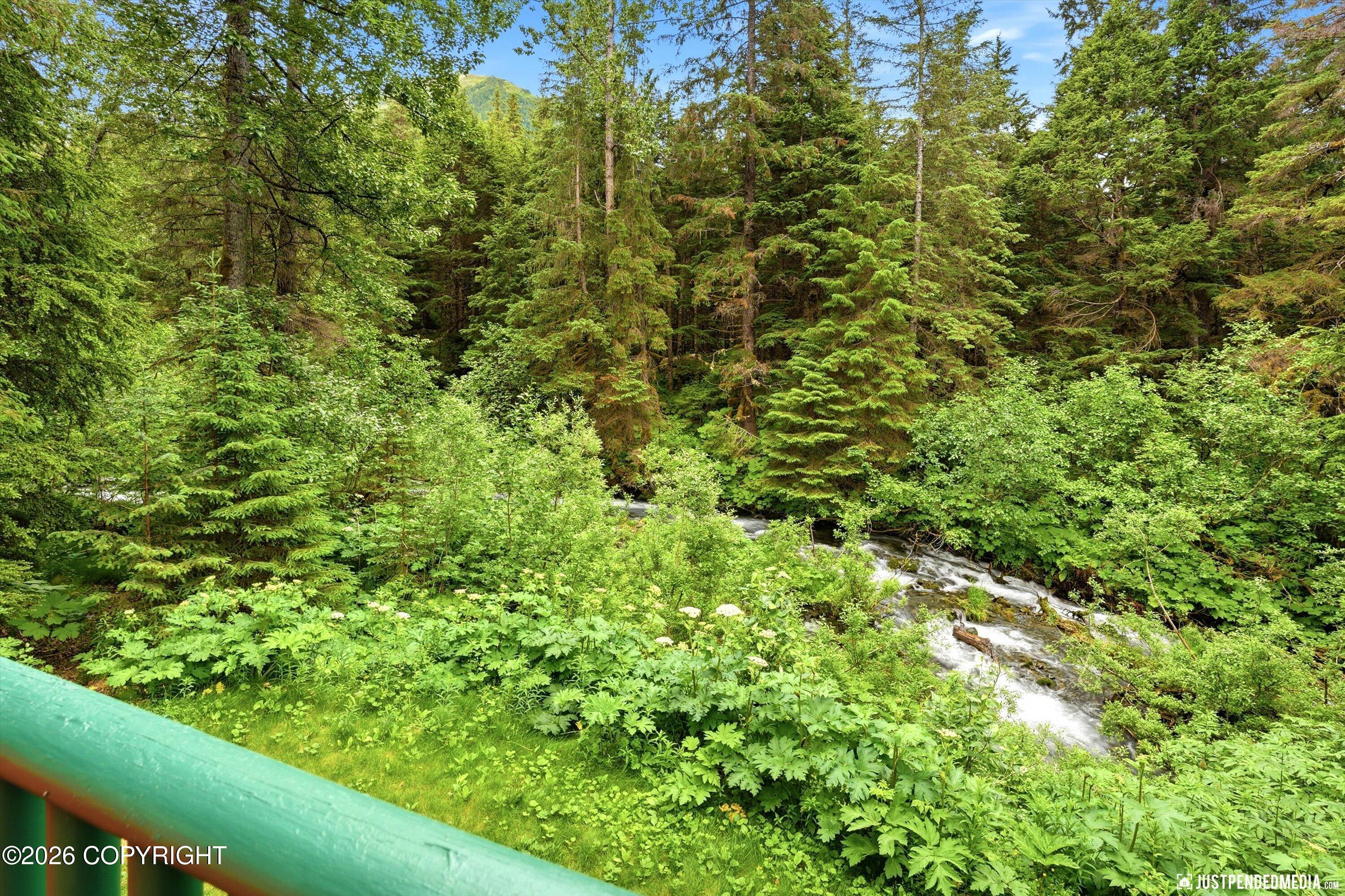 165 Virgin Creek Road Property Photo 8