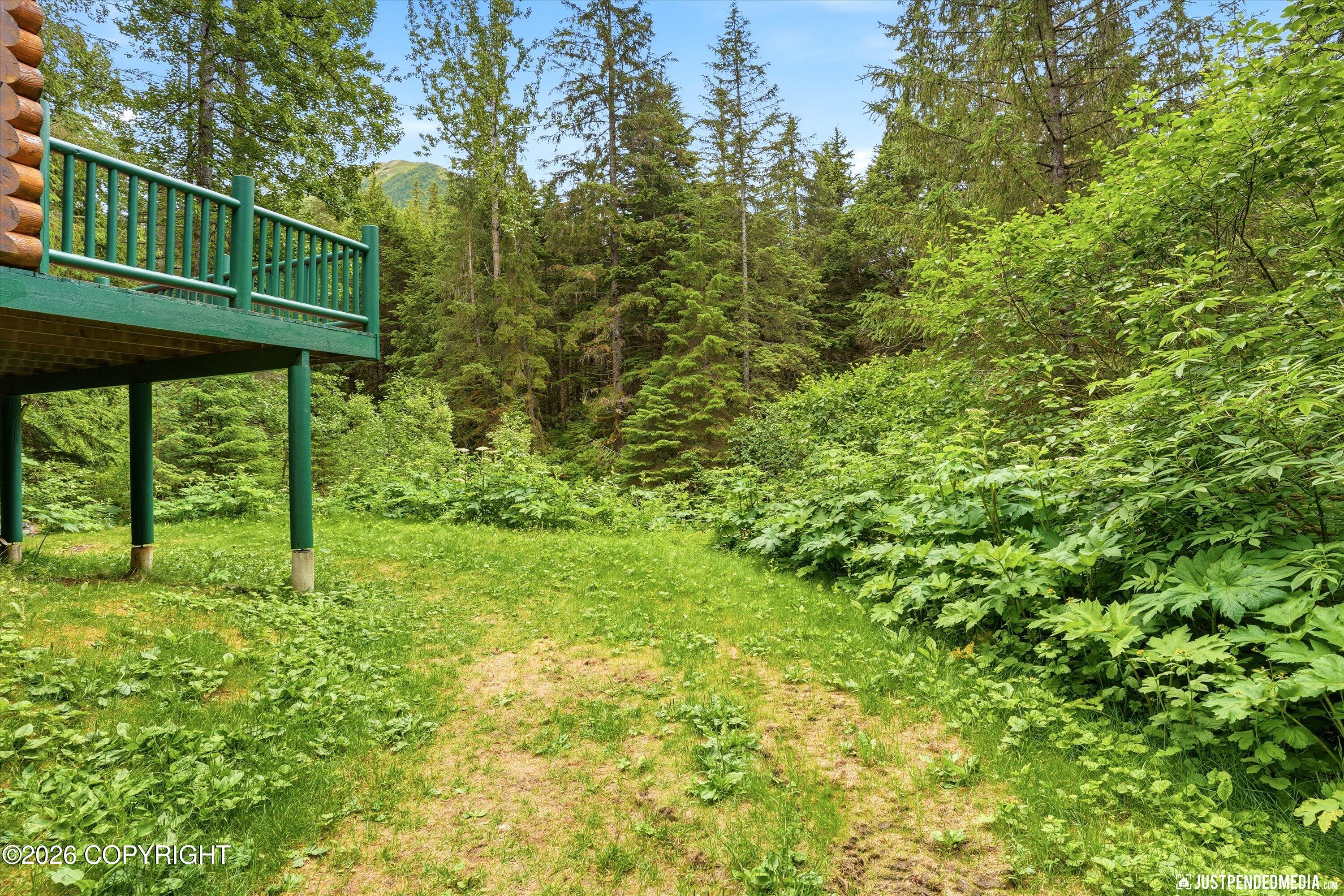 165 Virgin Creek Road Property Photo 41