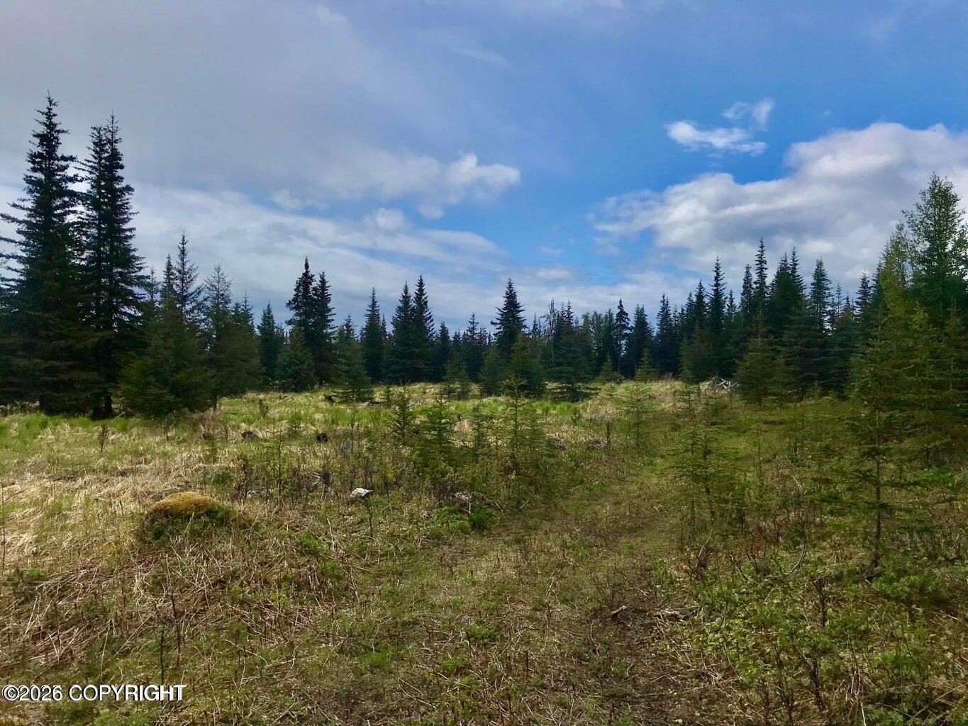 67212 Homestead Road Property Photo 33