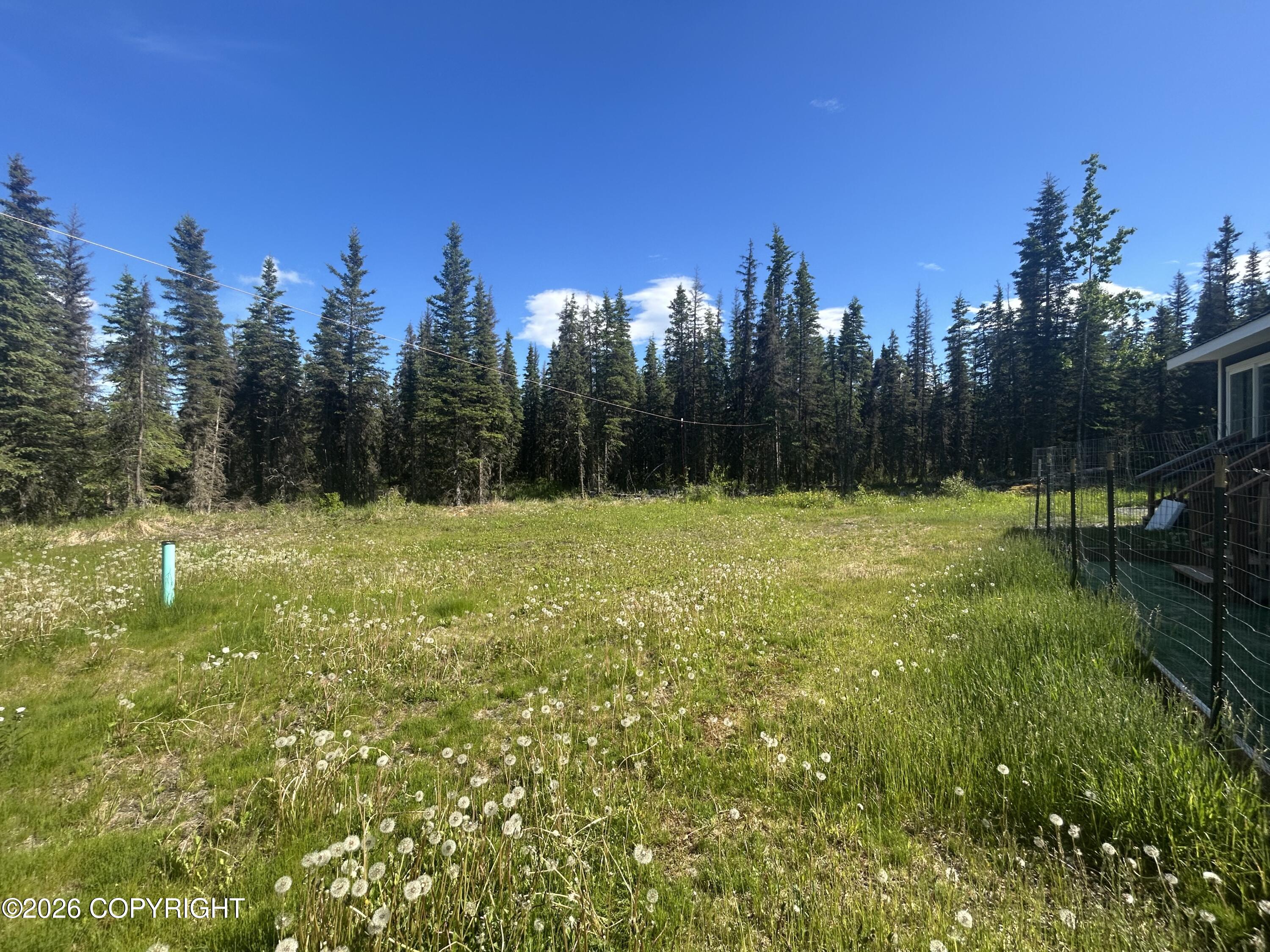 37094 Robinson Loop Road Property Photo 28