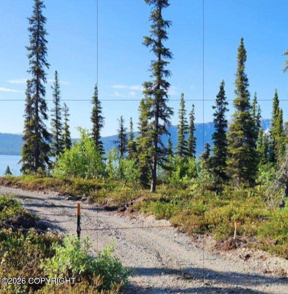 L6 B9 Keyes Point Lake Clark Property Photo 6