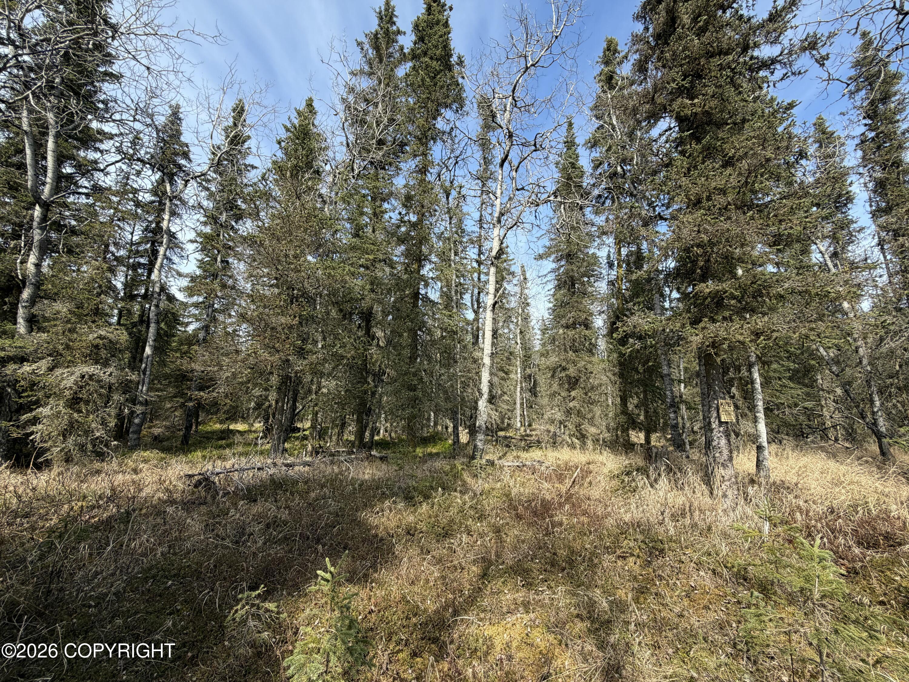 L11 B2 Kasilof Alaska Sub Property Photo 1