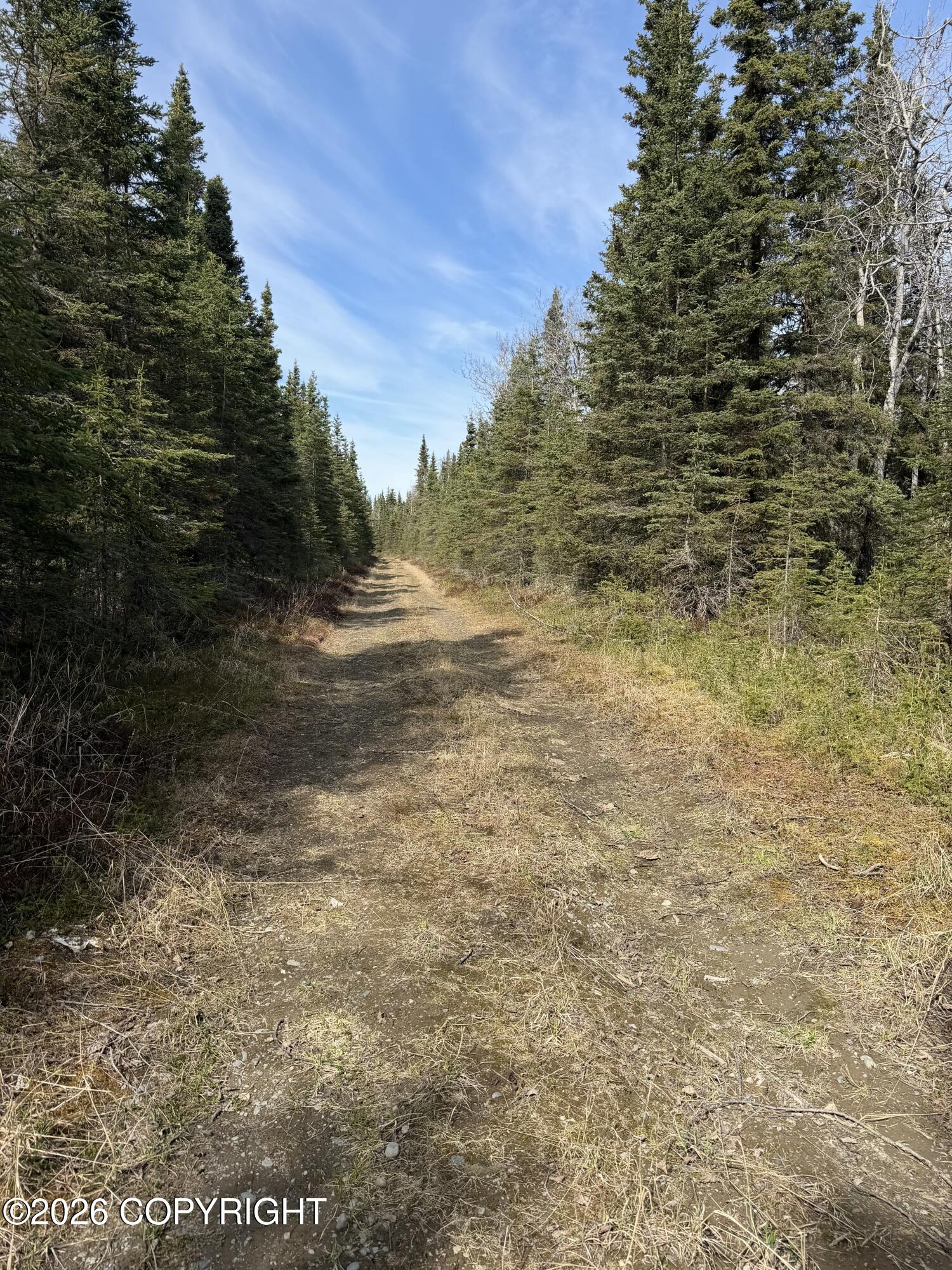 L11 B2 Kasilof Alaska Sub Property Photo 2