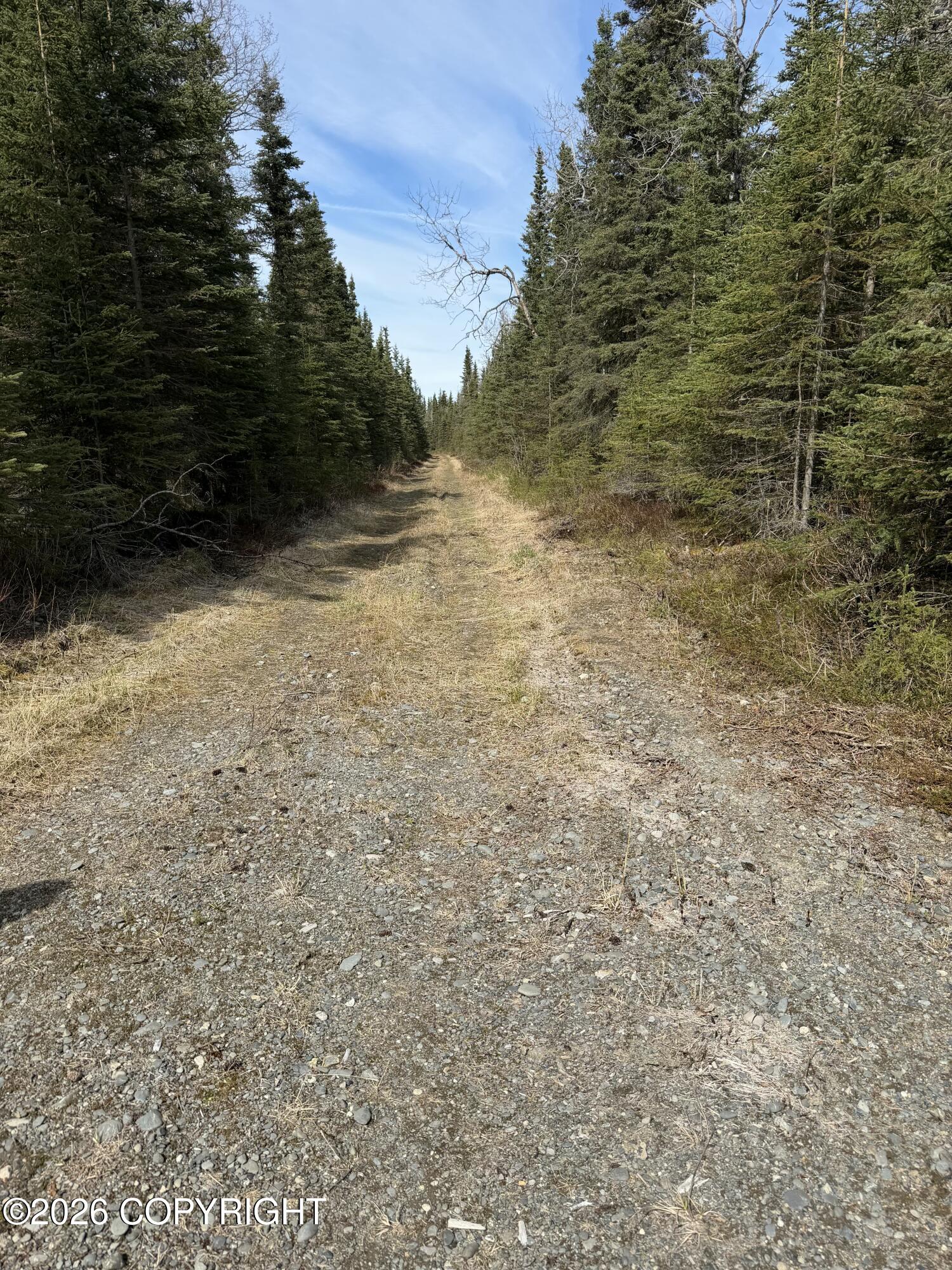 L11 B2 Kasilof Alaska Sub Property Photo 3