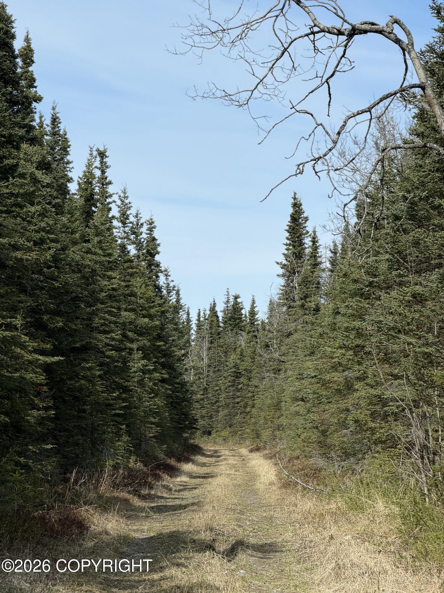 L11 B2 Kasilof Alaska Sub Property Photo 4