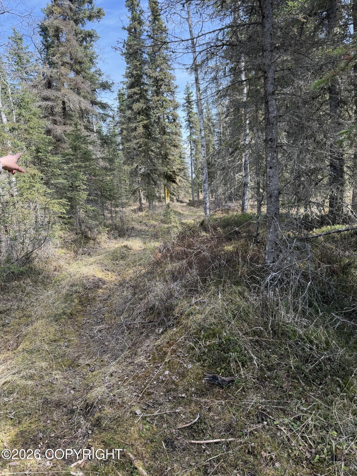 L11 B2 Kasilof Alaska Sub Property Photo 5