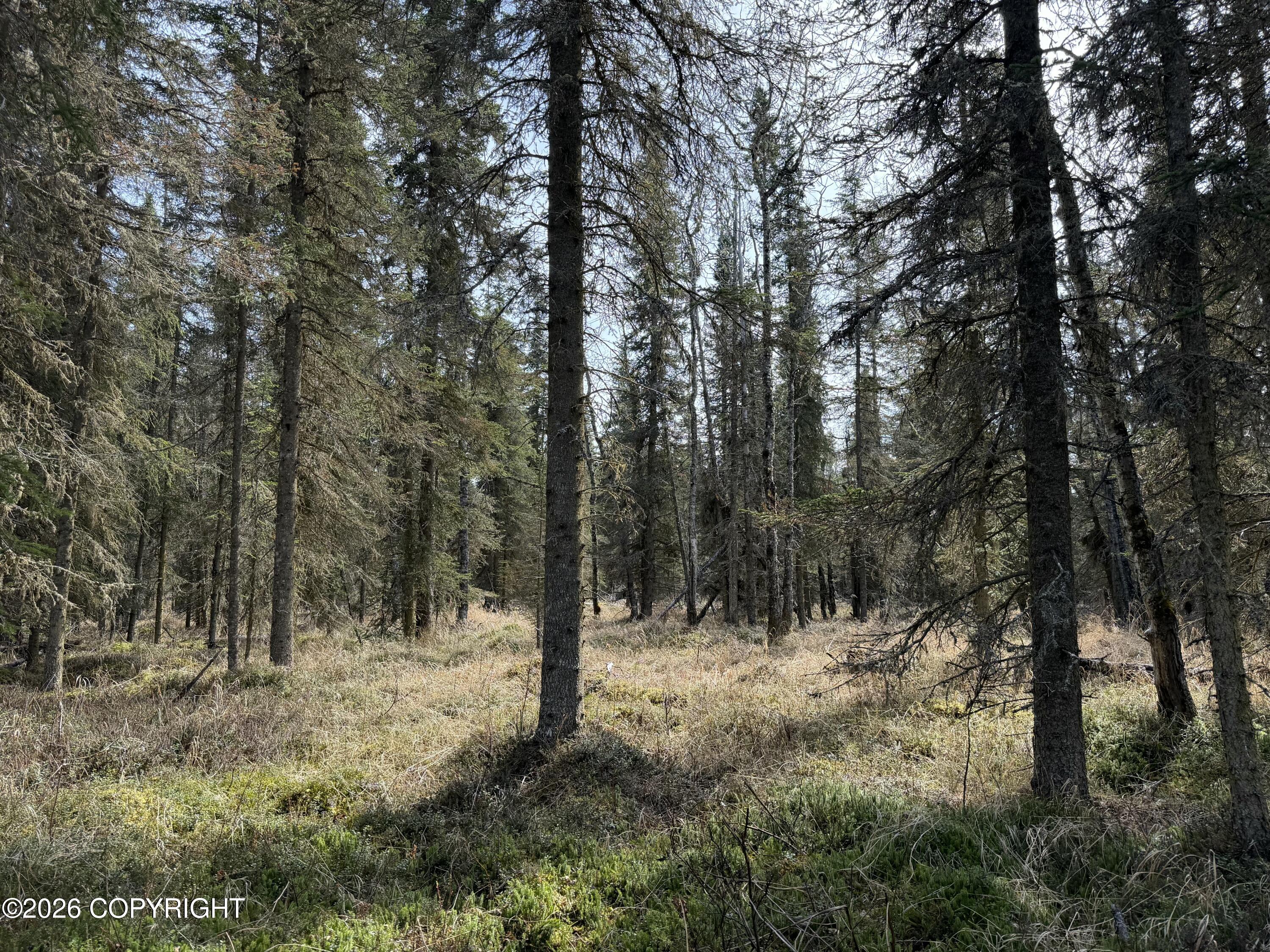 L11 B2 Kasilof Alaska Sub Property Photo 6