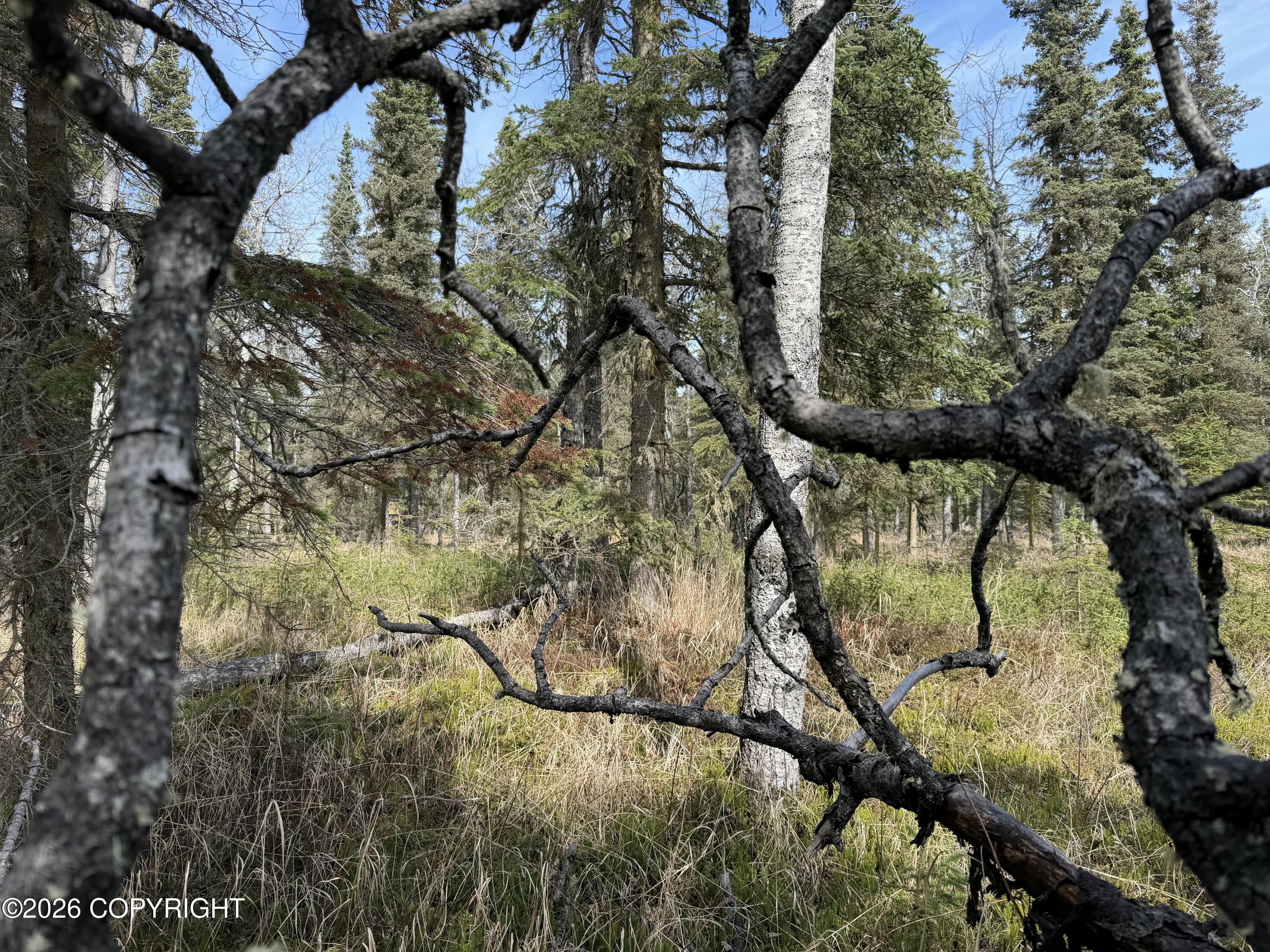 L11 B2 Kasilof Alaska Sub Property Photo 7