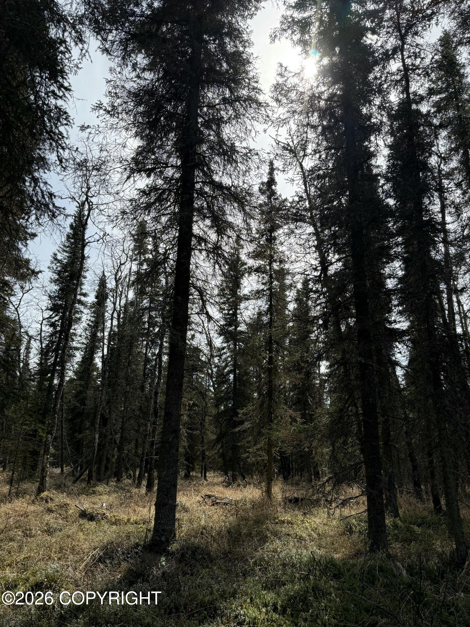 L11 B2 Kasilof Alaska Sub Property Photo 9