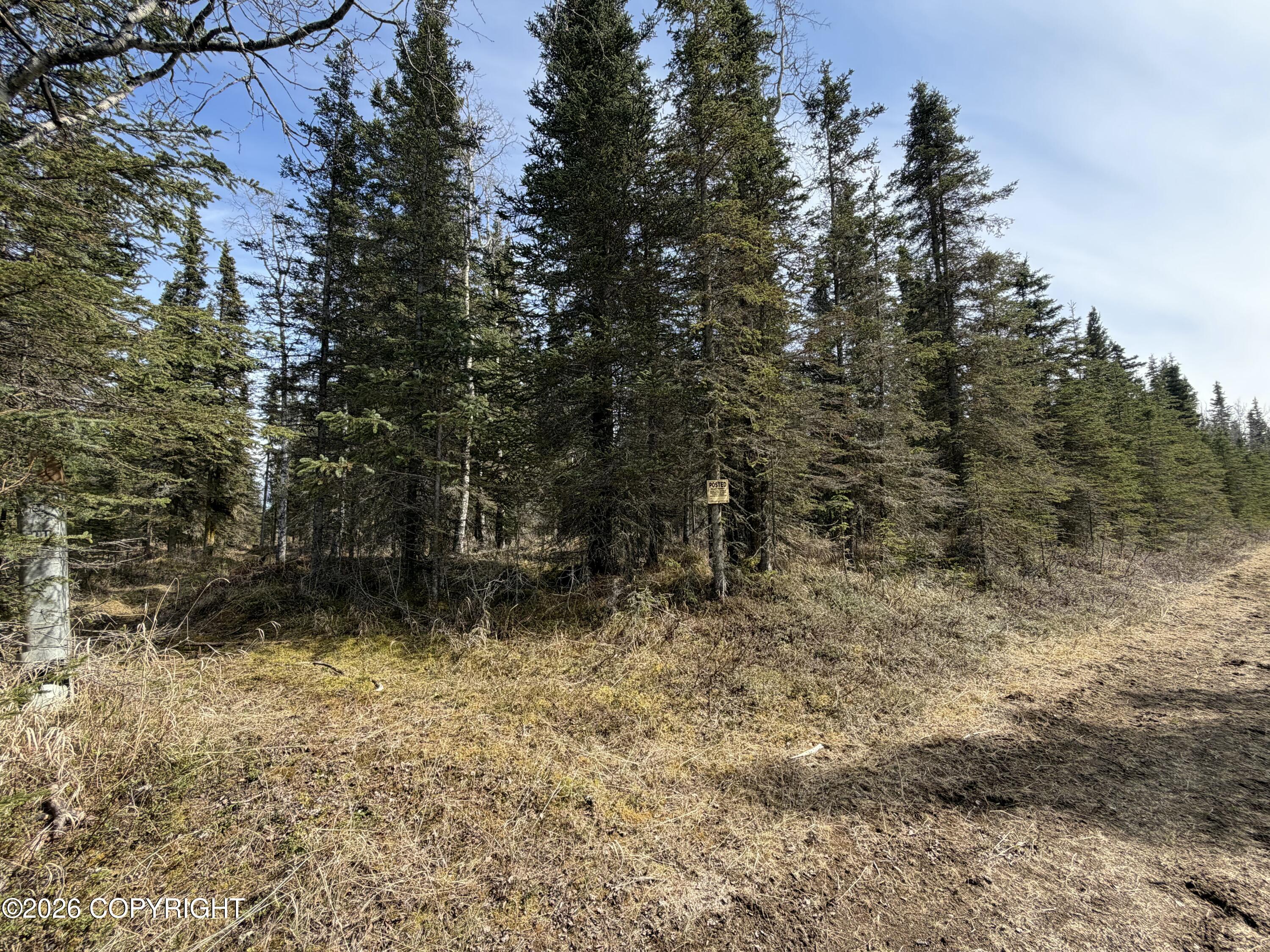 L11 B2 Kasilof Alaska Sub Property Photo 10